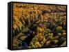 Big Carp River at Porcupine State Park, Up Michigan, USA-Chuck Haney-Framed Stretched Canvas