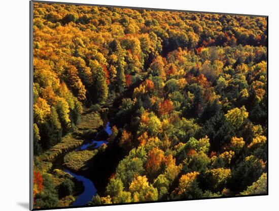 Big Carp River at Porcupine State Park, Up Michigan, USA-Chuck Haney-Mounted Photographic Print