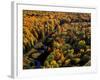 Big Carp River at Porcupine State Park, Up Michigan, USA-Chuck Haney-Framed Photographic Print