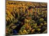 Big Carp River at Porcupine State Park, Up Michigan, USA-Chuck Haney-Mounted Photographic Print