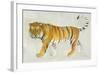 Big Cat II-Albena Hristova-Framed Art Print