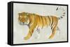 Big Cat II-Albena Hristova-Framed Stretched Canvas