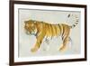 Big Cat II-Albena Hristova-Framed Art Print