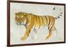 Big Cat II-Albena Hristova-Framed Art Print