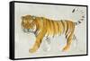 Big Cat II-Albena Hristova-Framed Stretched Canvas