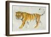 Big Cat II-Albena Hristova-Framed Art Print