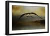 Big Catch 2-Jai Johnson-Framed Giclee Print