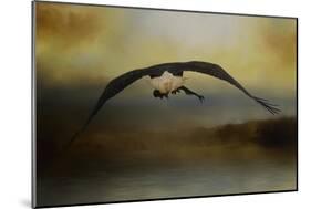 Big Catch 2-Jai Johnson-Mounted Giclee Print