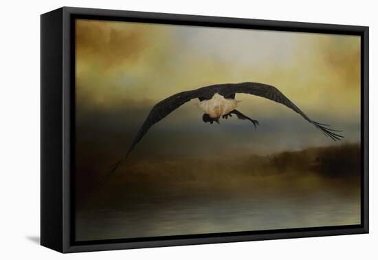 Big Catch 2-Jai Johnson-Framed Stretched Canvas