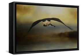 Big Catch 2-Jai Johnson-Framed Stretched Canvas