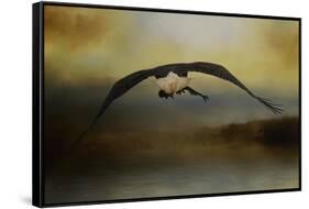 Big Catch 2-Jai Johnson-Framed Stretched Canvas