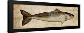 Big Catch I-Conrad Knutsen-Framed Art Print