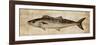 Big Catch II-Conrad Knutsen-Framed Art Print