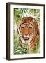 Big Cats 1-Kimberly Allen-Framed Art Print