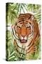 Big Cats 1-Kimberly Allen-Stretched Canvas