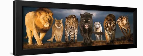 Big Cats Educational Poster-null-Framed Poster