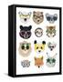 Big Cats In Fancy Glasses-Hanna Melin-Framed Stretched Canvas