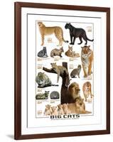 Big Cats-null-Framed Premium Giclee Print