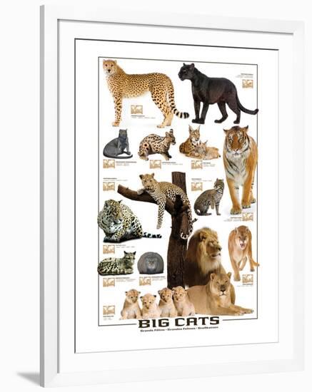 Big Cats-null-Framed Premium Giclee Print