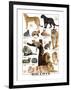 Big Cats-null-Framed Premium Giclee Print