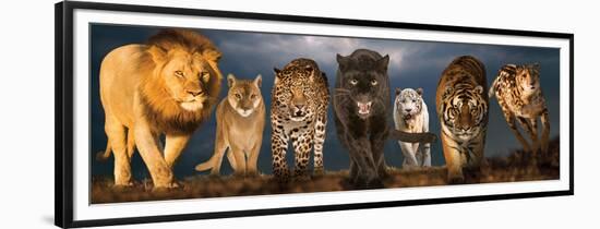 Big Cats-null-Framed Premium Giclee Print