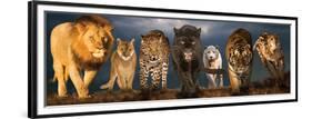 Big Cats-null-Framed Premium Giclee Print