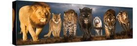 Big Cats-null-Stretched Canvas