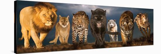 Big Cats-null-Stretched Canvas