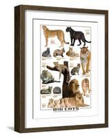 Big Cats-null-Framed Art Print