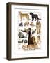 Big Cats-null-Framed Art Print