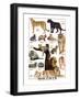 Big Cats-null-Framed Art Print