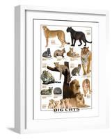 Big Cats-null-Framed Art Print