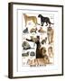 Big Cats-null-Framed Art Print