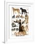 Big Cats-null-Framed Art Print