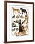 Big Cats-null-Framed Art Print