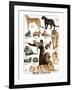 Big Cats-null-Framed Art Print