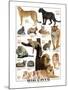 Big Cats-null-Mounted Art Print