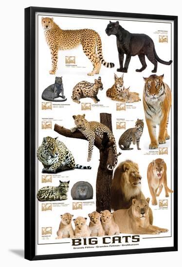 Big Cats-null-Framed Poster