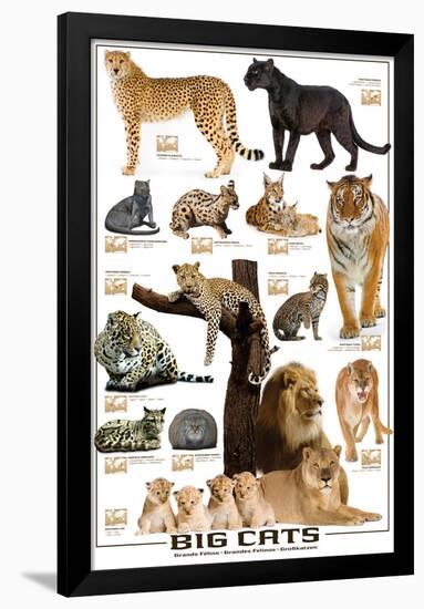 Big Cats-null-Framed Poster