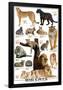 Big Cats-null-Framed Poster