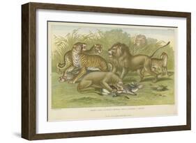 Big Cats-null-Framed Giclee Print