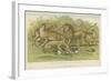 Big Cats-null-Framed Giclee Print