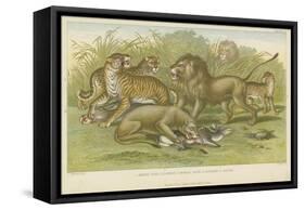 Big Cats-null-Framed Stretched Canvas