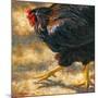 Big Chicken-Rita Kirkman-Mounted Giclee Print