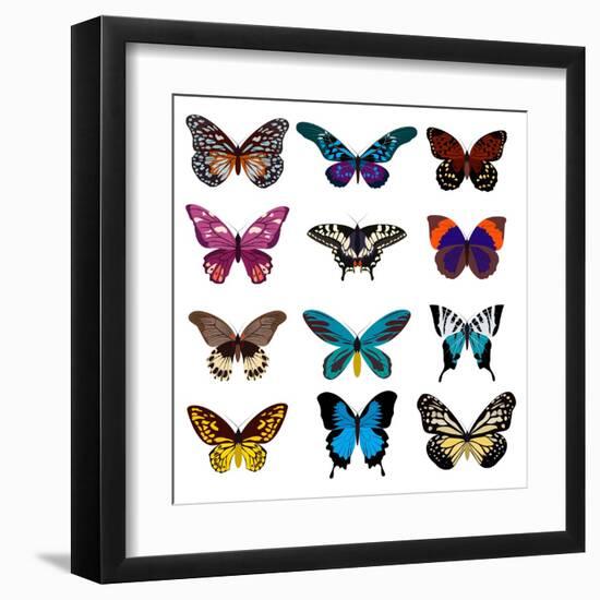 Big Collection Butterfly of Colorful Icon Set. Art Butterflies Isolated on White. Vector Illustrati-SVStudio-Framed Art Print