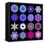 Big Collection of Various Blue Pattern Flowers-tr3gi-Framed Stretched Canvas
