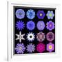 Big Collection of Various Blue Pattern Flowers-tr3gi-Framed Art Print