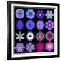 Big Collection of Various Blue Pattern Flowers-tr3gi-Framed Art Print