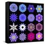 Big Collection of Various Blue Pattern Flowers-tr3gi-Framed Stretched Canvas