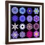 Big Collection of Various Blue Pattern Flowers-tr3gi-Framed Art Print